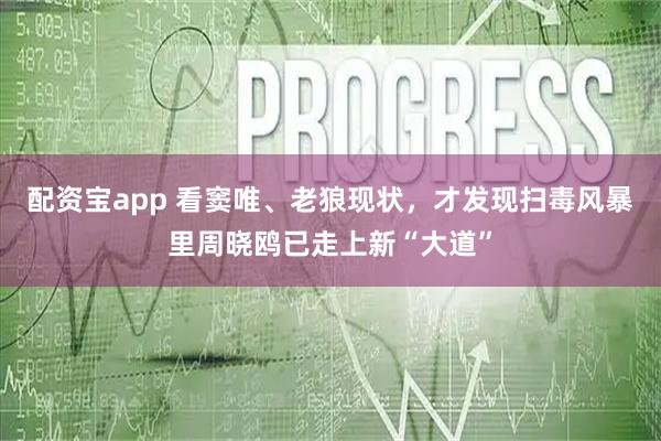 配资宝app 看窦唯、老狼现状，才发现扫毒风暴里周晓鸥已走上新“大道”