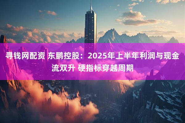 寻钱网配资 东鹏控股：2025年上半年利润与现金流双升 硬指标穿越周期