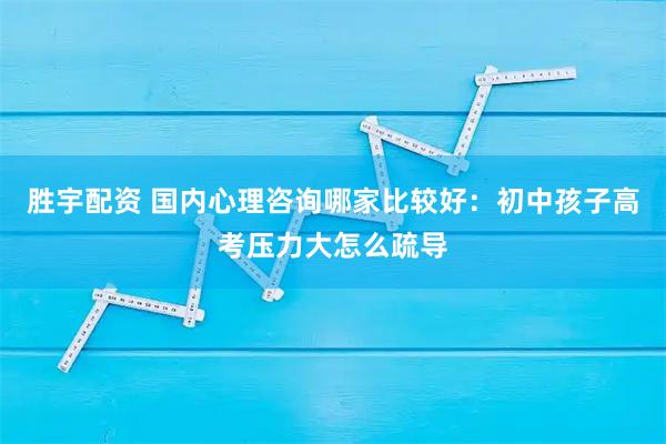 胜宇配资 国内心理咨询哪家比较好：初中孩子高考压力大怎么疏导