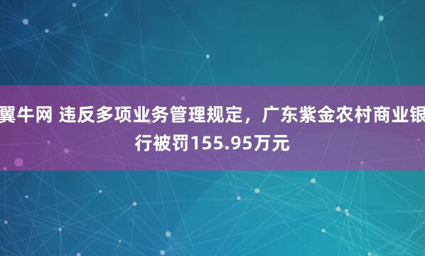 翼牛网 违反多项业务管理规定，广东紫金农村商业银行被罚155.95万元