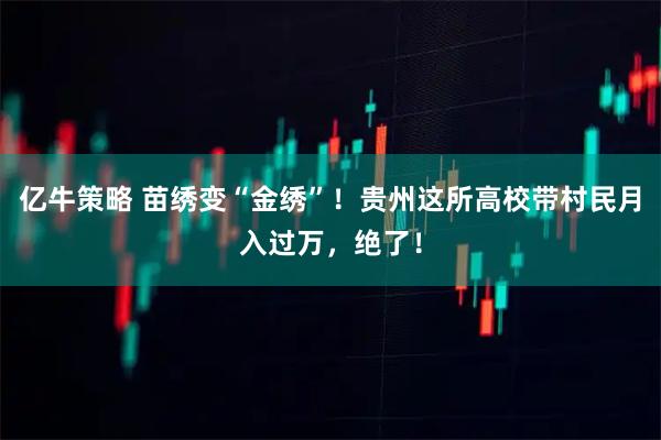亿牛策略 苗绣变“金绣”！贵州这所高校带村民月入过万，绝了！